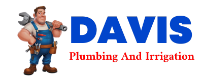 Trusted plumber in VAN METER